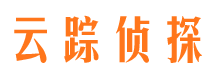 田阳市场调查